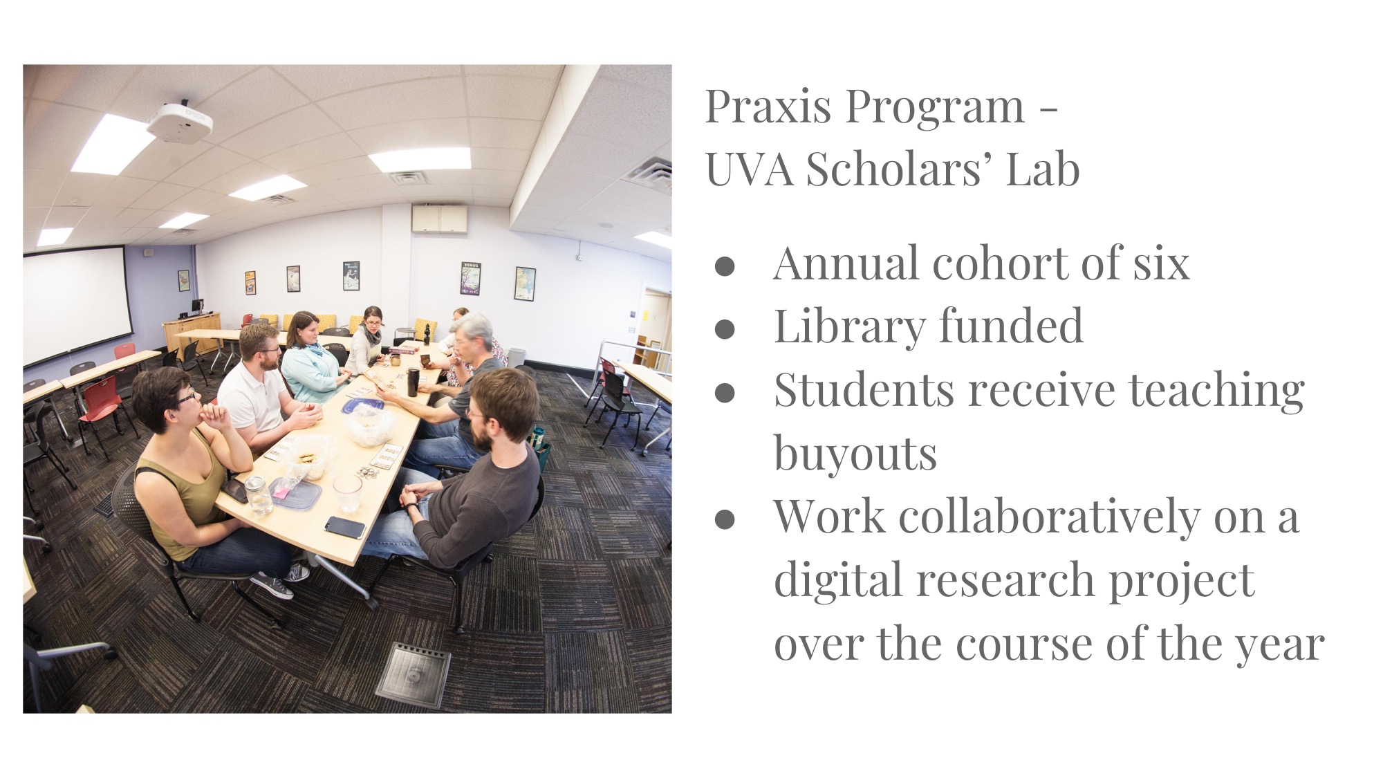 praxis program summary