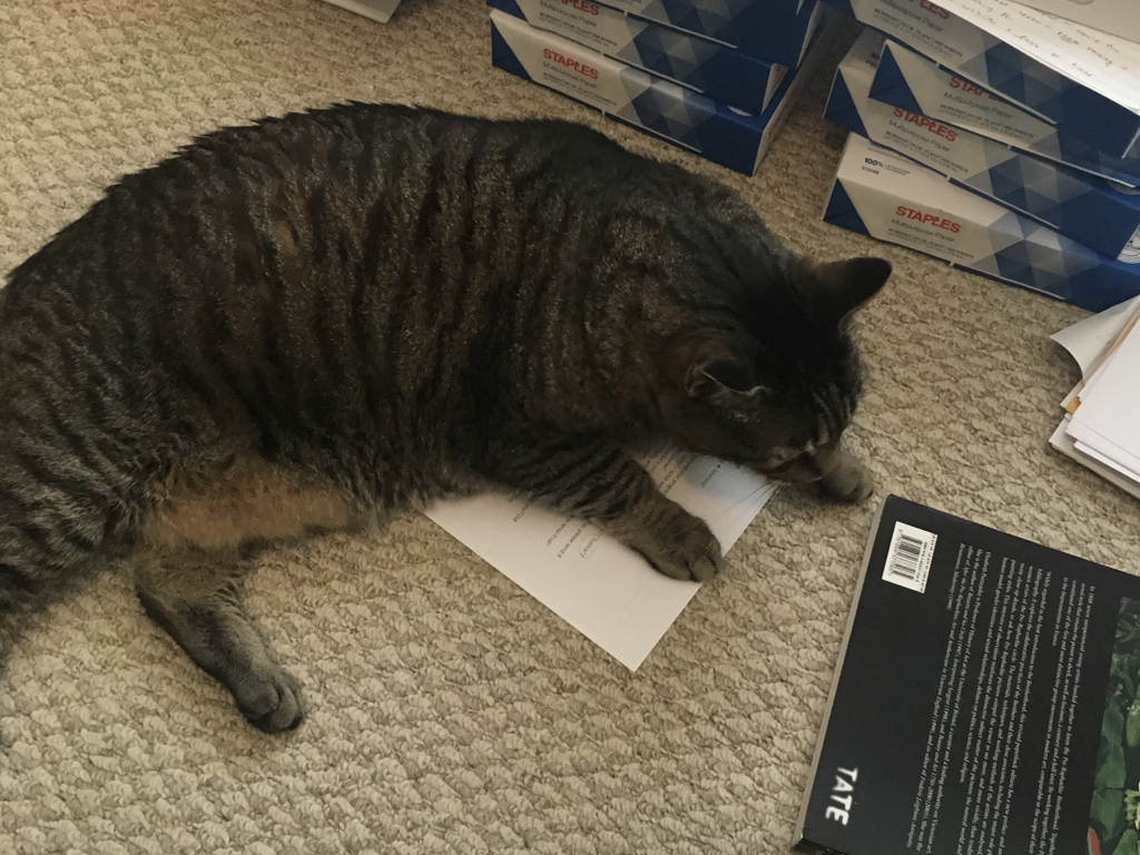 Pepper studying