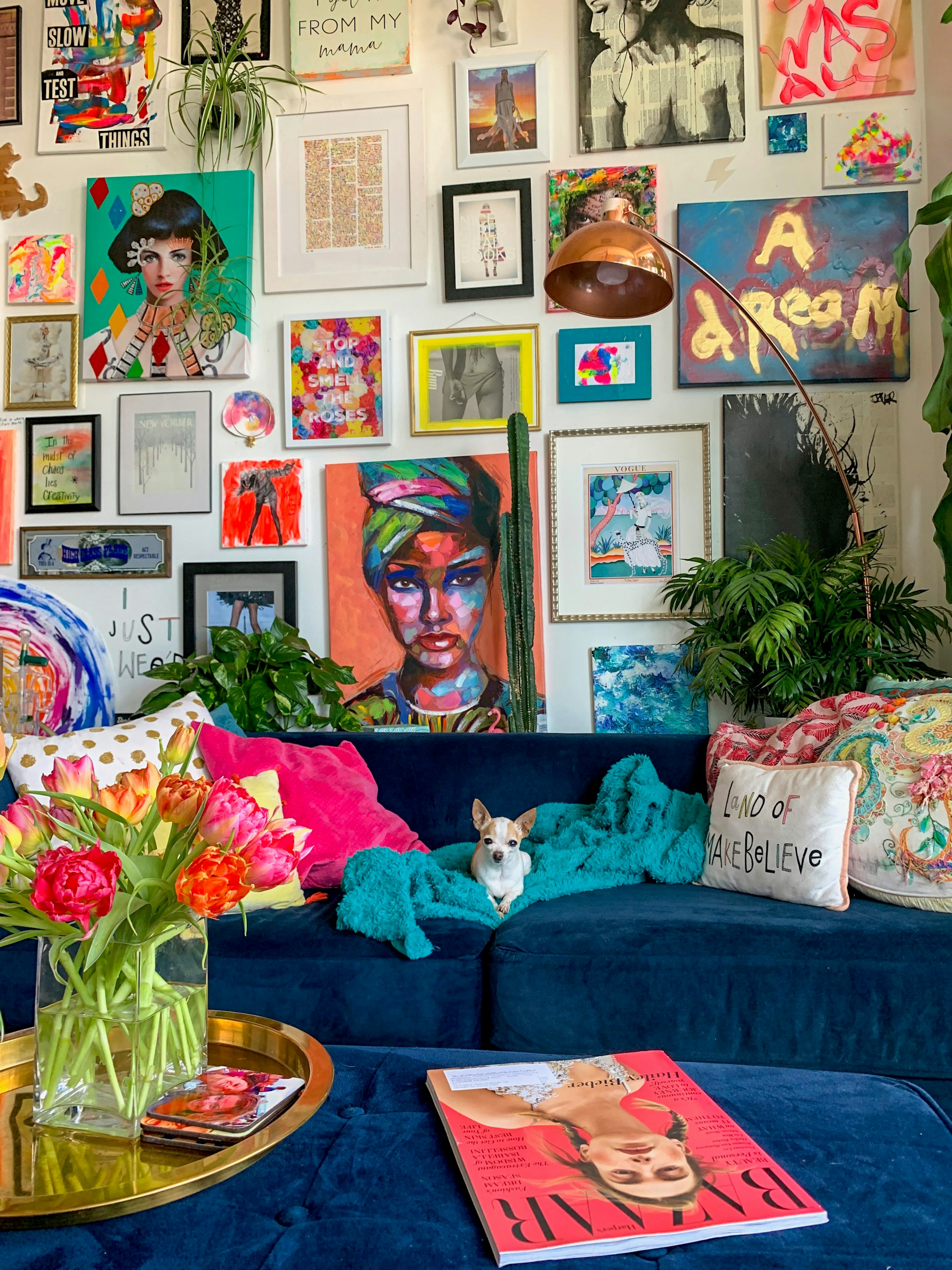 Tiny chihuahua on blue velvet couch in front of a colorful maximalist gallery wall in a Denver apartment home with lots of plants and flowers. Photo by Steph Wilson on Unsplash
