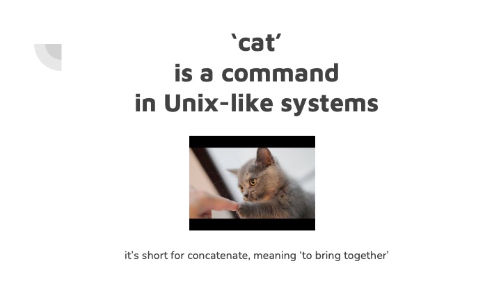 cat touching paws to a human because the cat command means to join in a linux environment